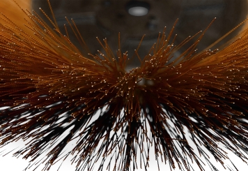 2 brosses latérales en acier SKM80E-STB pour balayeuse de voirie SKM80E, wipeket 